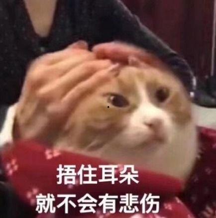 太粗太深了太紧太爽了国产,太粗太深太紧太爽，揭秘国产新高度